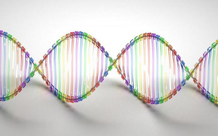 в чем выражается свойство вырожденности генетического кода