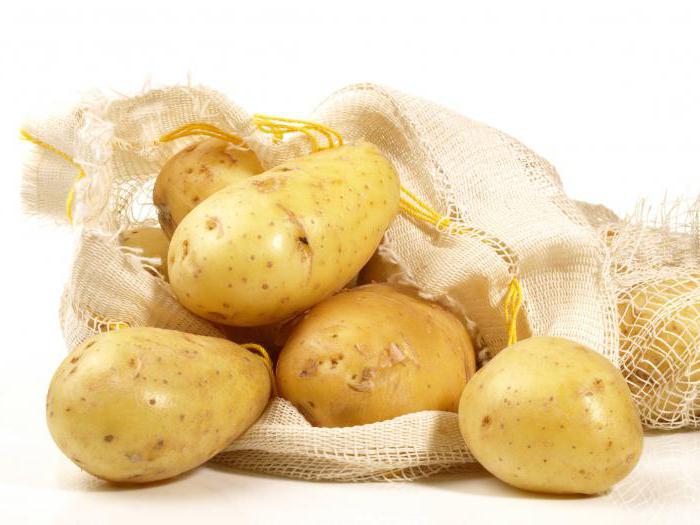 зекура сорт картофеля отзывы