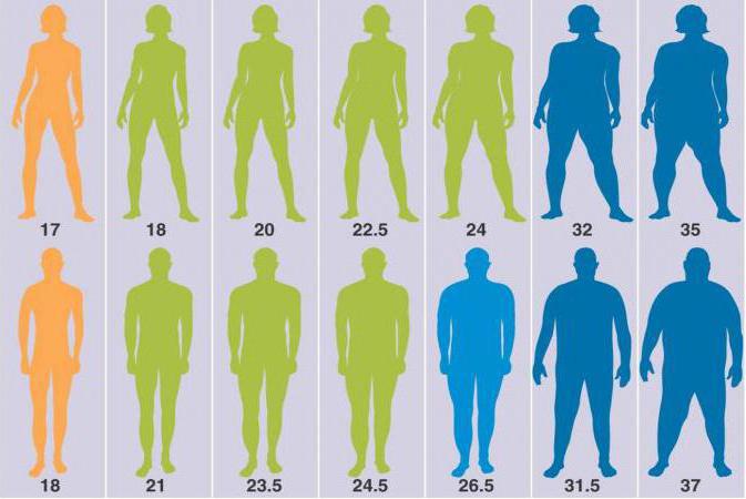 коэффициент веса и роста для мужчин