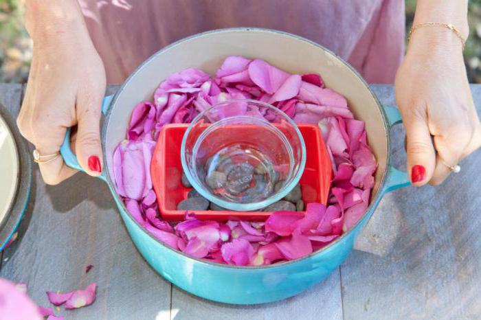 Как приготовить розовую воду в домашних условиях? Чайная роза: рецепты розовой воды для умывания