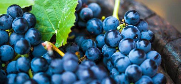 Можно ли есть виноград при похудении