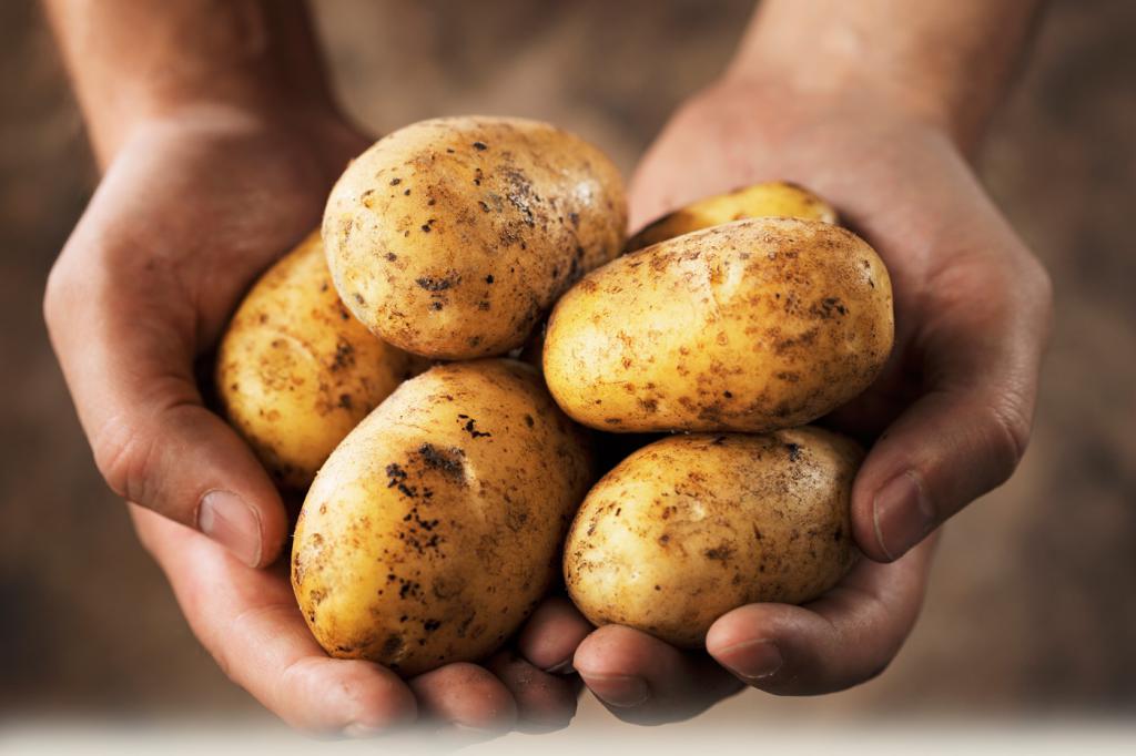 Оценки о картофельной диеты