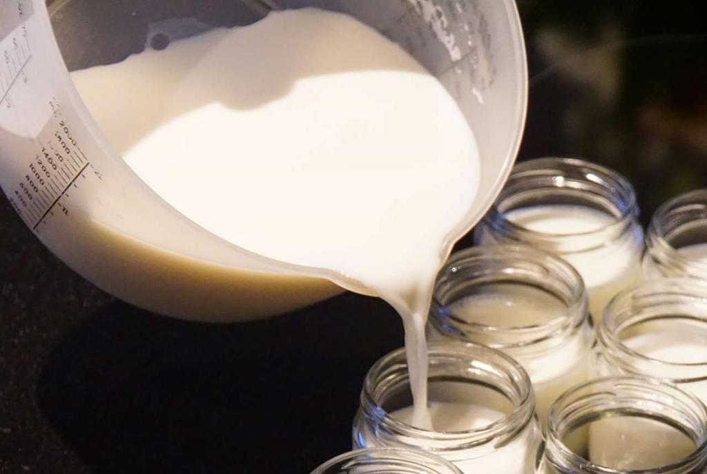 Как правильно употреблять йогурт кормящей маме