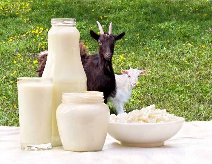 можно ли давать годовалому ребенку козье молоко
