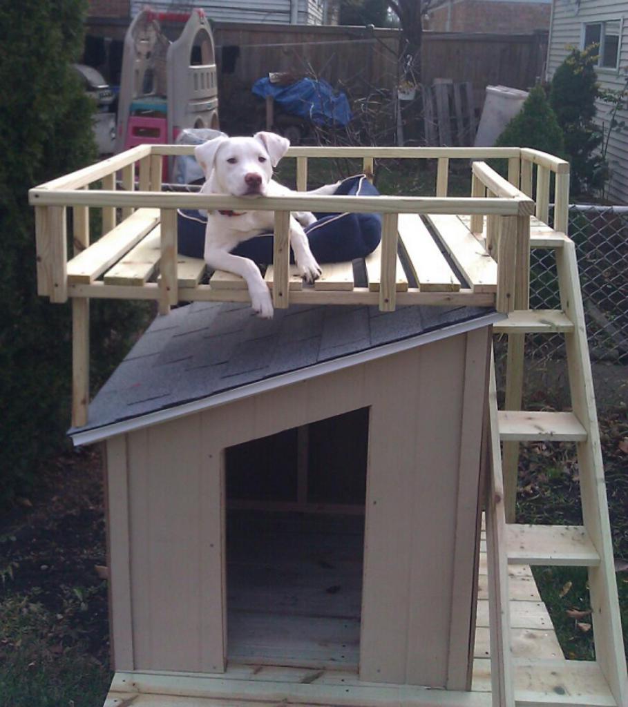 Будка для собаки с односкатной крышей