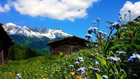 природа Австрии кратко