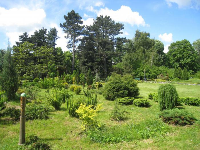 калининград ботанический сад 