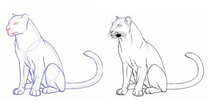 как нарисовать пантеру карандашом поэтапно