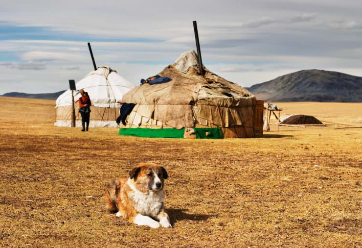 Село в монгольских степях