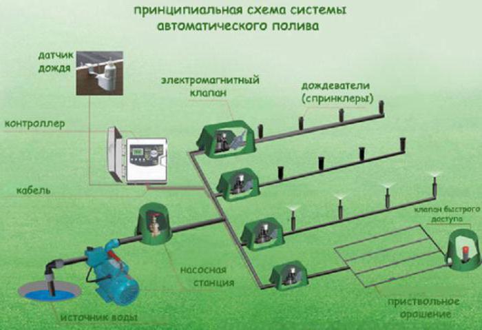 автоматическая система капельного полива в теплице