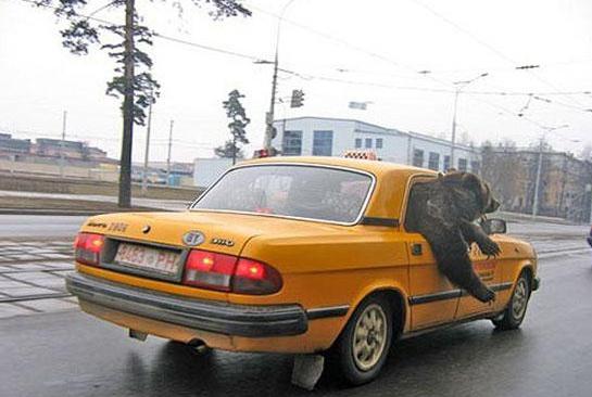 такси везет москва отзывы