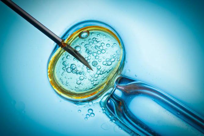 подсадка эмбрионов при эко как происходит