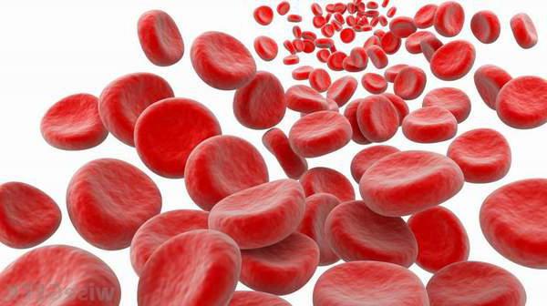 чем повысить гемоглобин в крови продукты