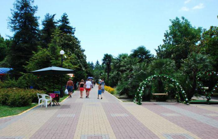 парк культуры и отдыха в лазаревском отзывы