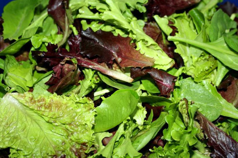 Разновидность свежей зелени для салата