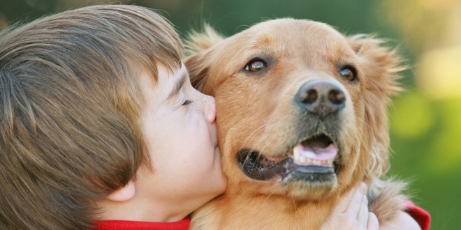 Передаются ли глисты от собаки к человеку: виды, пути заражения и уход за собакой