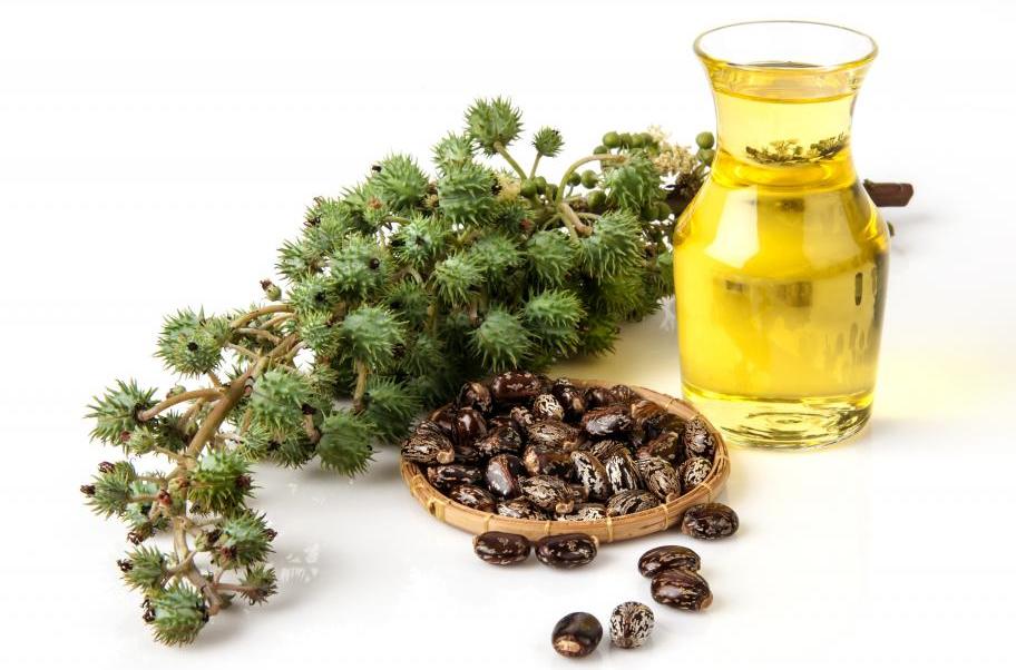 Касторовое масло для цветов как удобрение: как использовать, отзывы и советы