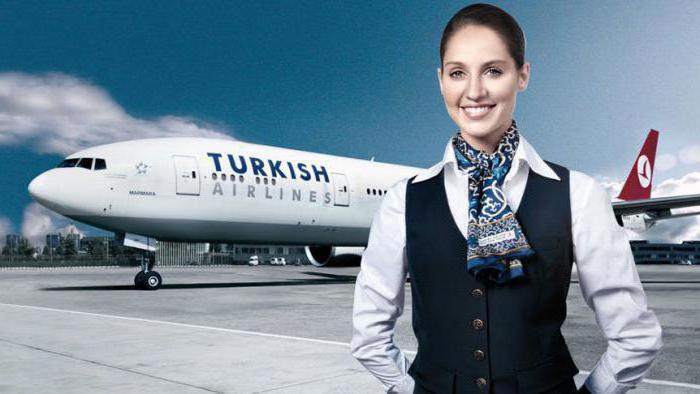 воздушный флот turkish airlines