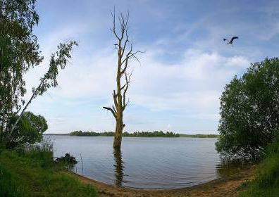 гродненская область беларусь