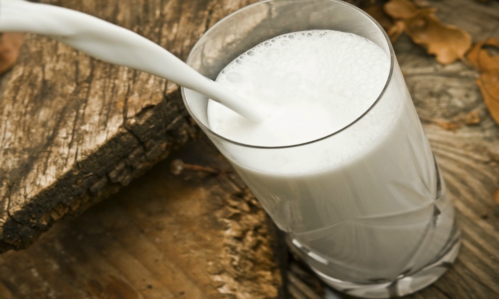 Молоко может содержать афлатоксины