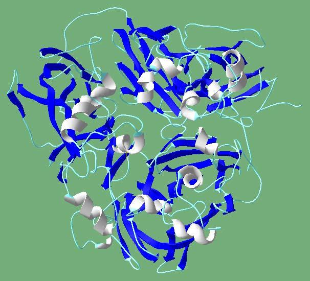 Структура молекулы церулоплазмина