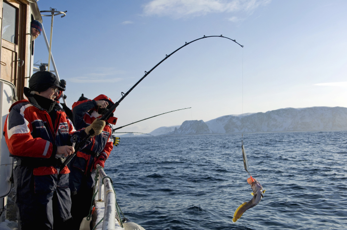 рыбалка во фьордах