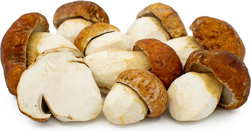 белые грибы для солянки