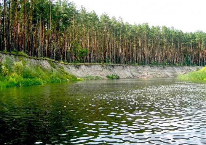реки Курской области куда впадают