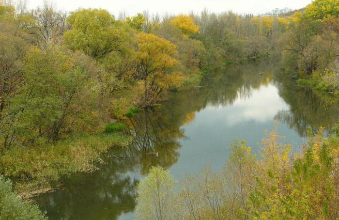 река Тускарь Курской области
