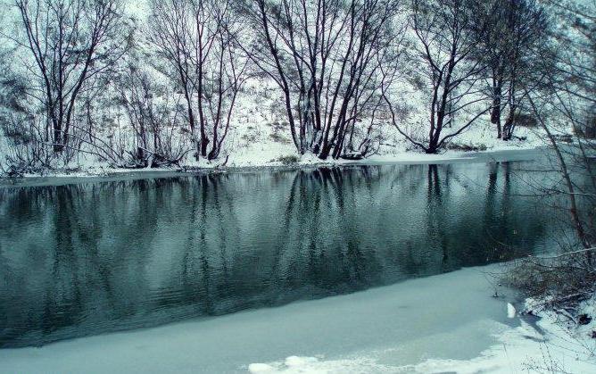 река Сейм Курская область