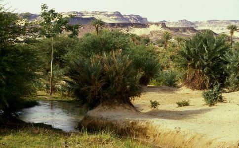 картинки оазис в пустыне