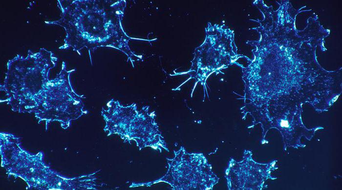 рак яичников 3 стадия асцит сколько живут 