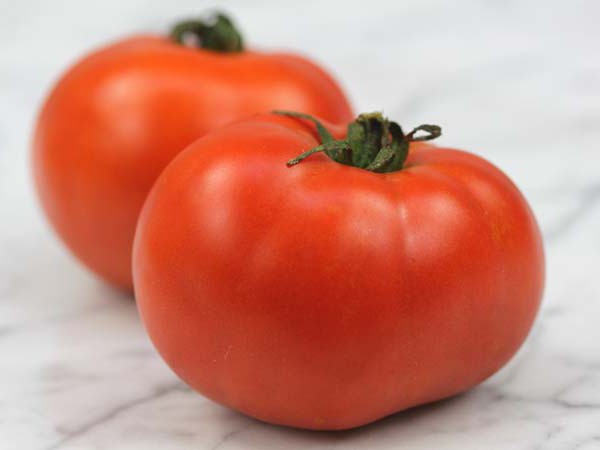 томаты персей характеристика