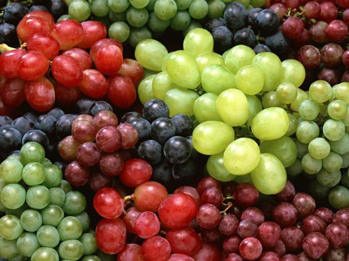 препарат фалькон инструкция по применению для винограда