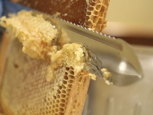 почему пенится мед на поверхности