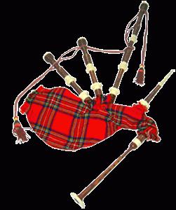 Национальный символ Шотландии
