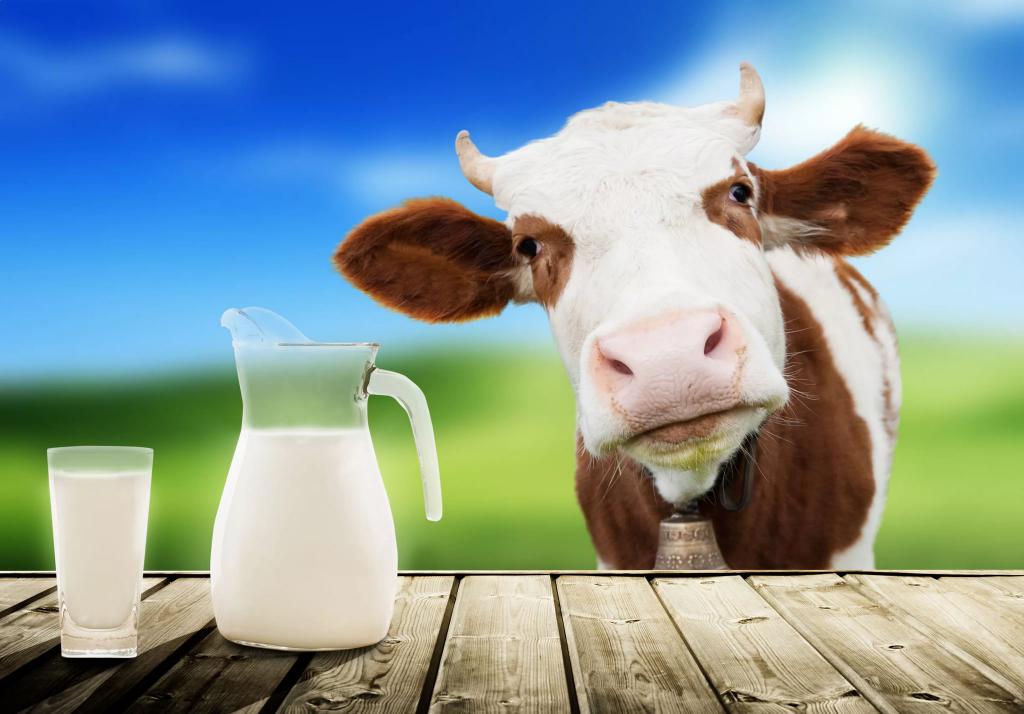 Молоко от коровы