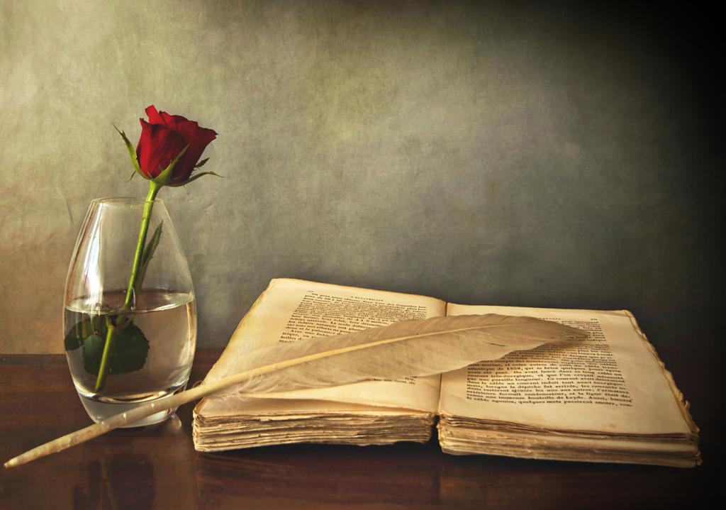 книга и роза