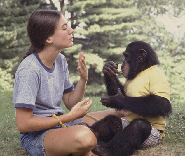 Обучение обезьян речи