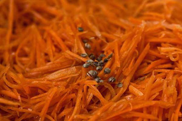 Состав приправы для моркови по корейски