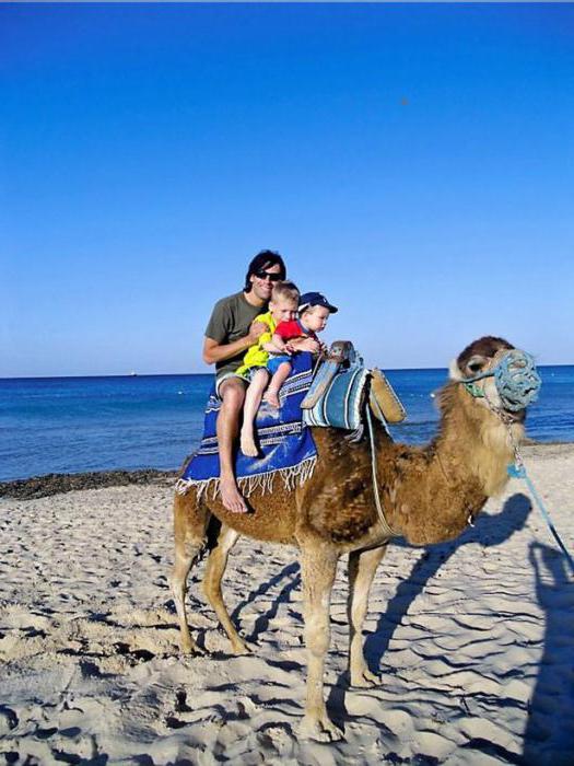 Отдых в тунисе с маленьким ребенком отзывы