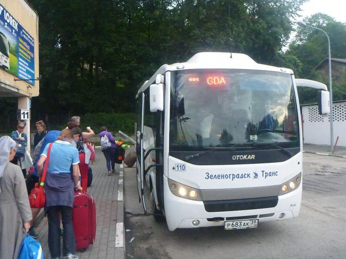 Автобус калининград гданьск