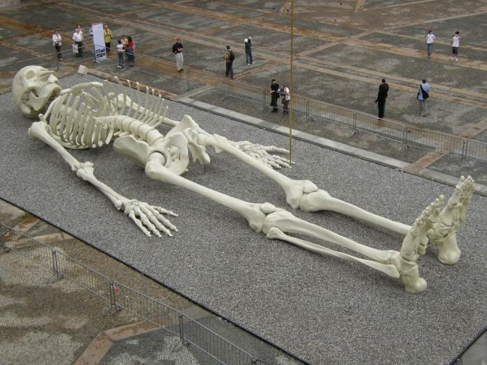Находки скелетов гигантских людей
