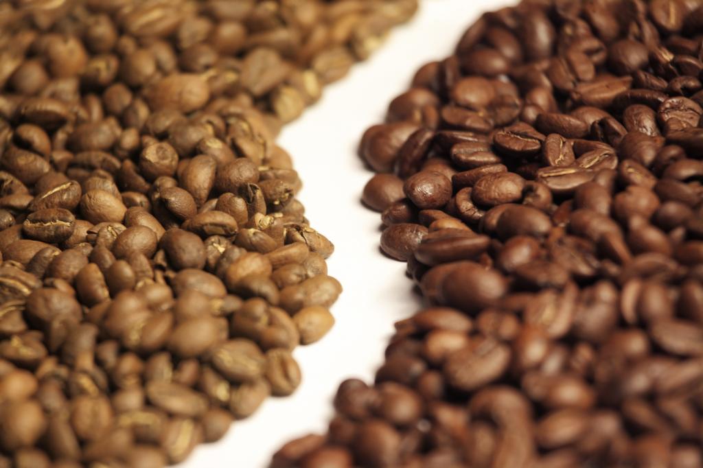 Кофе в зернах: какой лучше, арабика или робуста