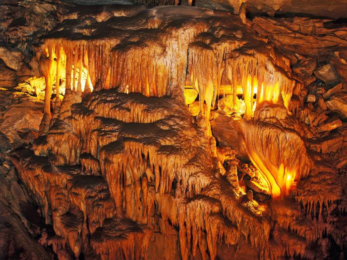 Мамонтова пещера фото