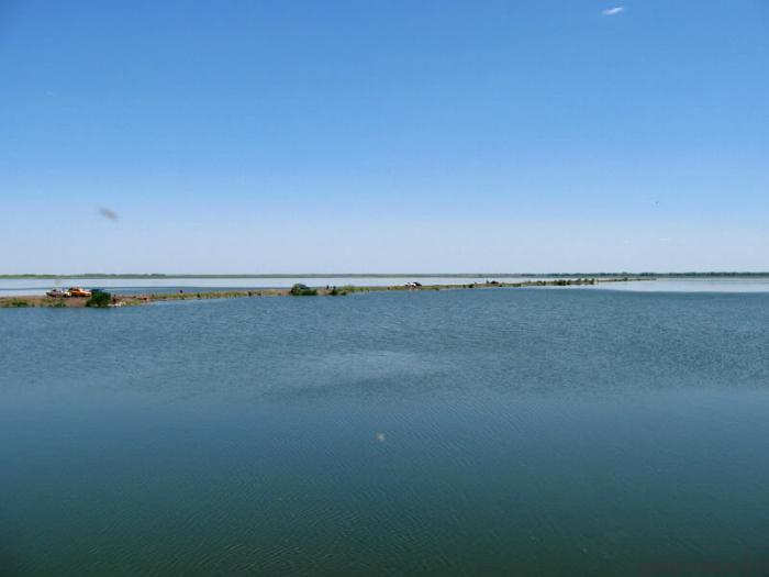 Озеро горькое алтайский край
