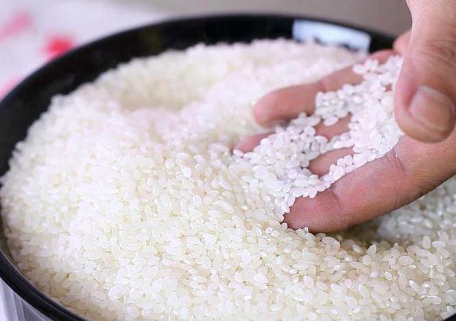 Рис для суши рецепт в домашних условиях