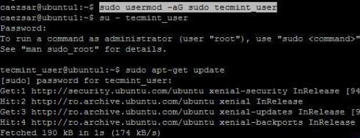 linux добавить пользователя в группу root