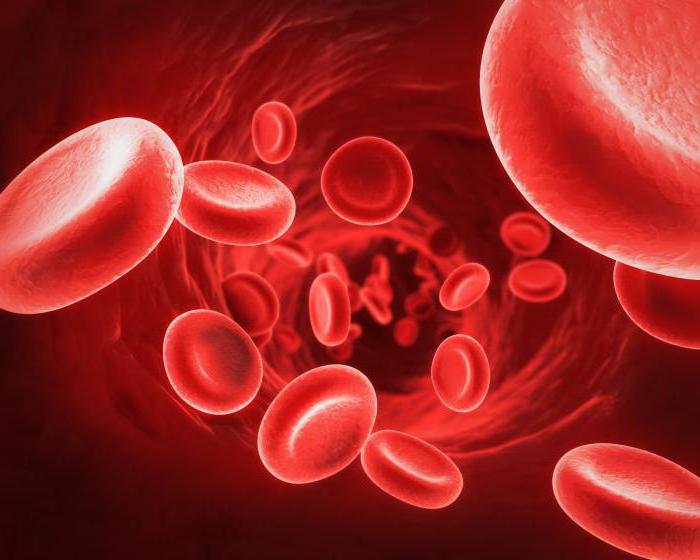 таблица совместимости групп крови