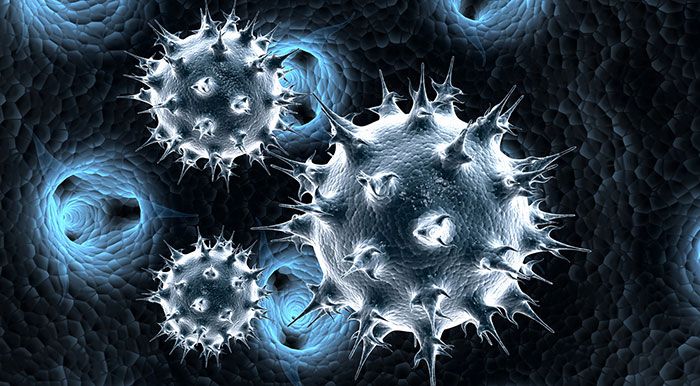 антитела к ядерному антигену вируса эпштейна барр